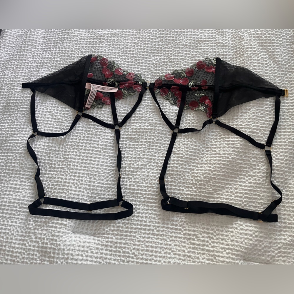Sheer Black Garter with Red Rose Embroidery - Women Intimates